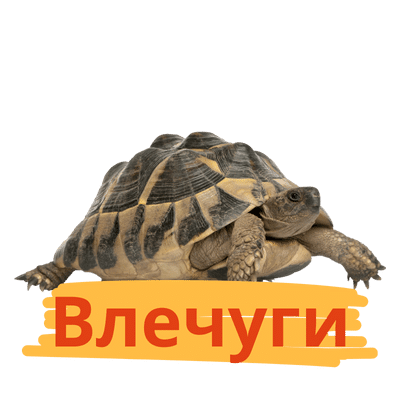 Влечуги